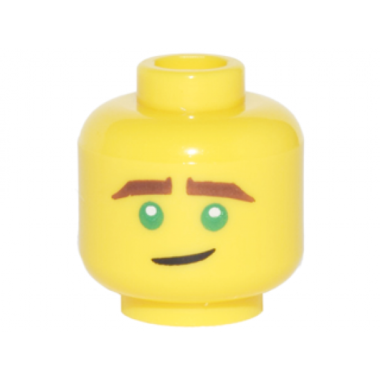 Minifigure, Head Reddish Brown Eyebrows, Green Eyes, Crooked Smile Pattern (Lloyd)