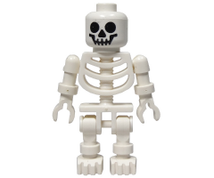 Skeleton with Standard Skull