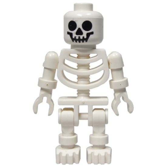 Skeleton with Standard Skull