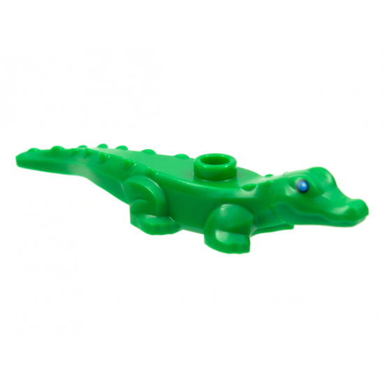 Alligator / Crocodile Baby Hatchling with Blue Eyes Pattern