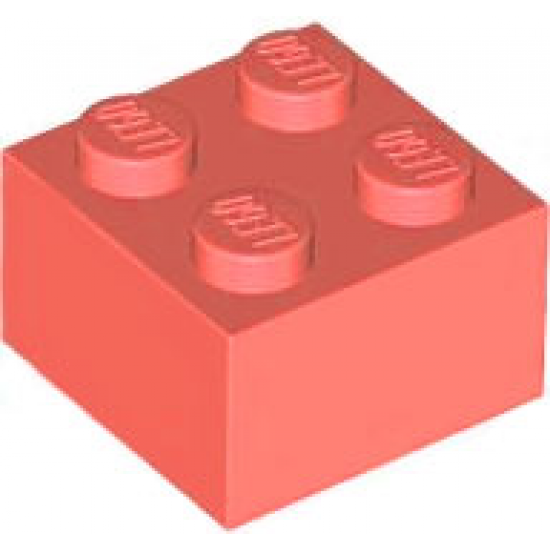 Brick 2 x 2