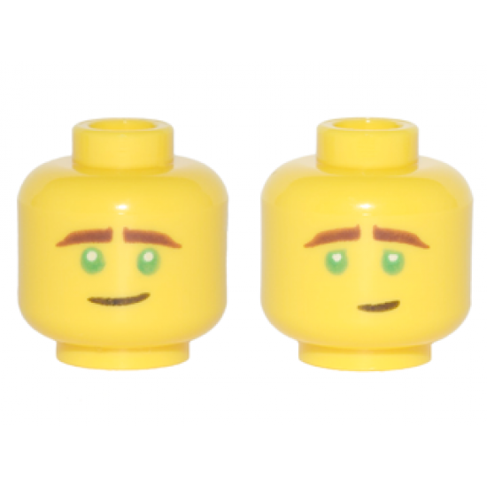 Minifigure, Head Dual Sided Reddish Brown Eyebrows, Green Eyes, Crooked Smile / Concerned Pattern (Lloyd)
