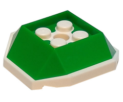 Shell, 4 Studs Inside and Hole with Green Pattern