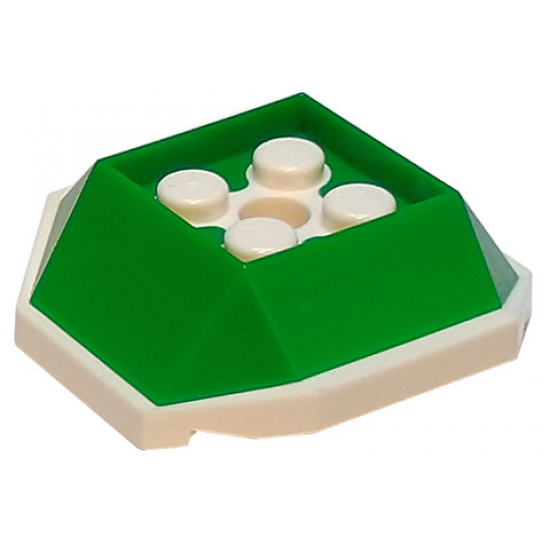 Shell, 4 Studs Inside and Hole with Green Pattern
