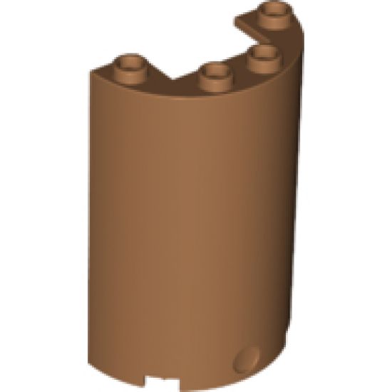 Cylinder Half 2 x 4 x 5 with 1 x 2 Cutout