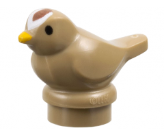 Bird, Small with Black Eyes, Bright Light Orange Beak and Reddish Brown and White Forehead Pattern