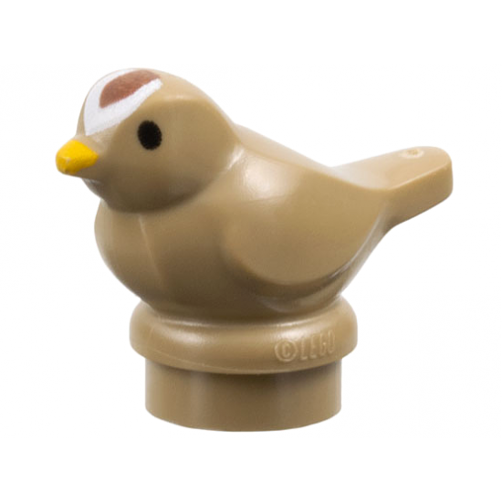 Bird, Small with Black Eyes, Bright Light Orange Beak and Reddish Brown and White Forehead Pattern