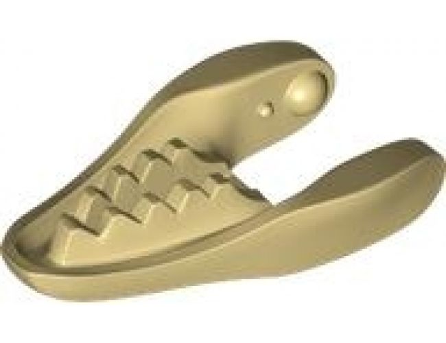 Animal, Body Part Dinosaur Jaw Lower Raptor