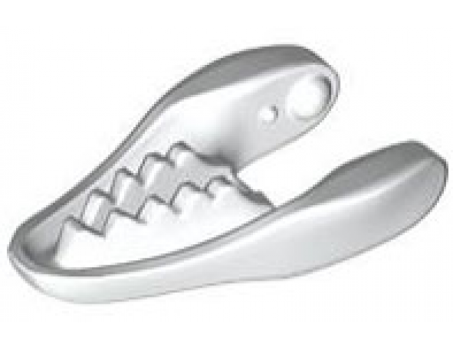 Animal, Body Part Dinosaur Jaw Lower Raptor