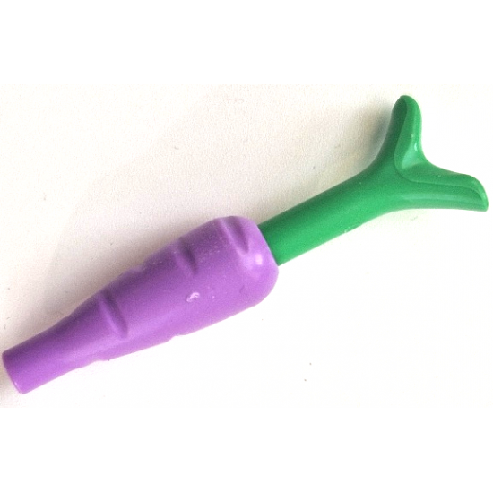 Food & Drink Carrot with Bright Green Top (33172 / 33183)
