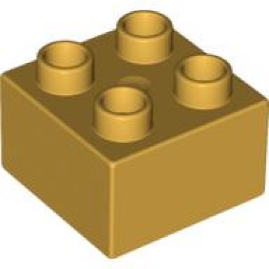 Duplo, Brick 2 x 2