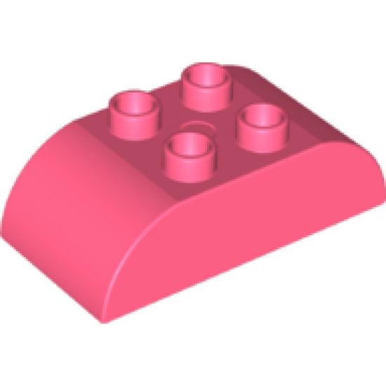 Duplo, Brick 2 x 4 Curved Top