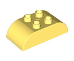 Duplo, Brick 2 x 4 Curved Top