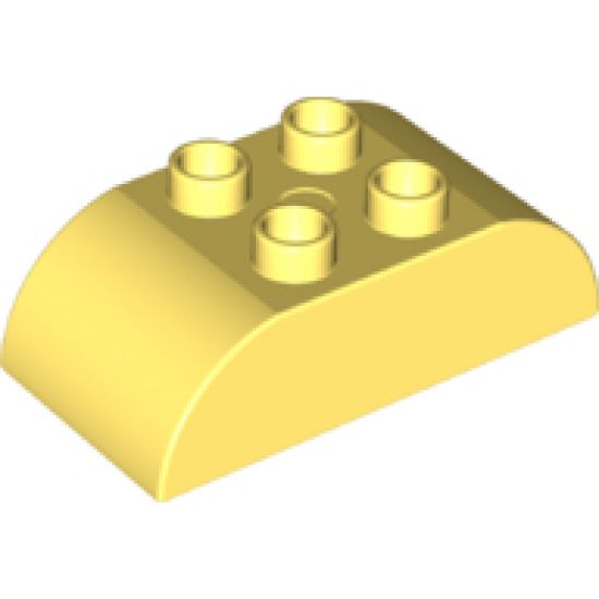Duplo, Brick 2 x 4 Curved Top