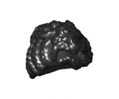 Minifigure, Hair Female Updo with Tight Curls and Elaborate Braids