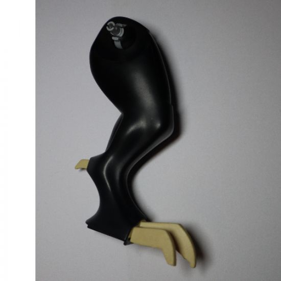Animal, Body Part Dinosaur Limb Large with Tan Claws Pattern Left