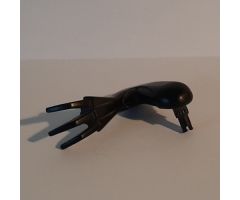 Animal, Body Part Dinosaur Limb Small Raptor Arm / Pteranodon Leg with Claws Right