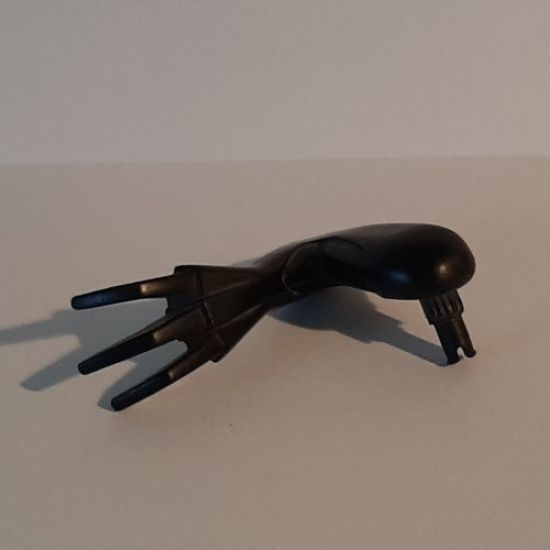 Animal, Body Part Dinosaur Limb Small Raptor Arm / Pteranodon Leg with Claws Right