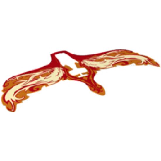 Plastic Wings with Yellow and Orange Flames on Red Background Pattern
