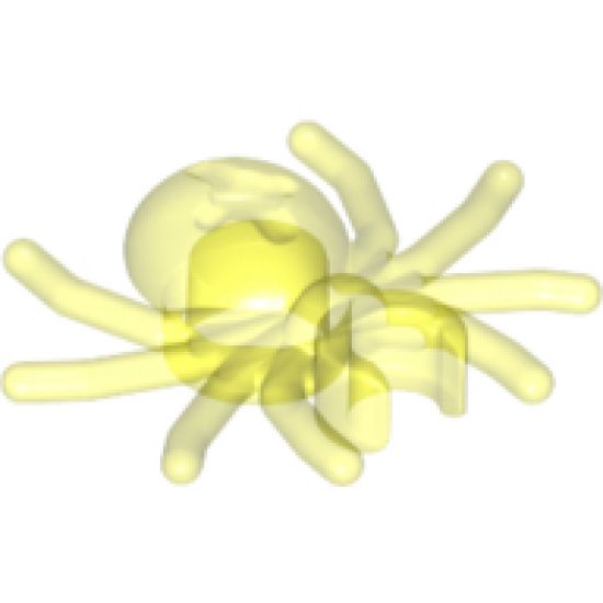 Spider with Round Abdomen and Clip