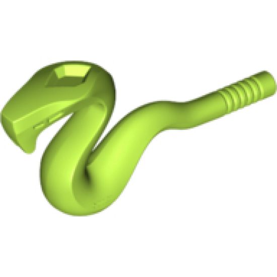Snake, Raised