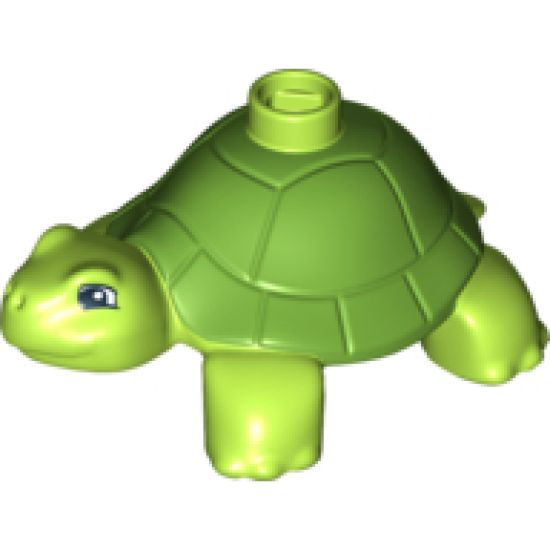 Duplo, Animal Turtle with Green Back Pattern