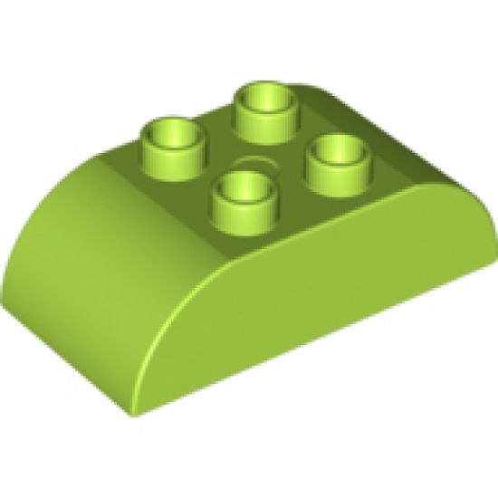 Duplo, Brick 2 x 4 Curved Top
