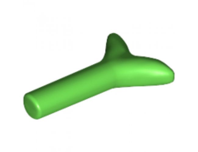 Food & Drink Carrot Top / Twig