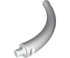 Animal, Body Part Dinosaur Tail End Section / Horn