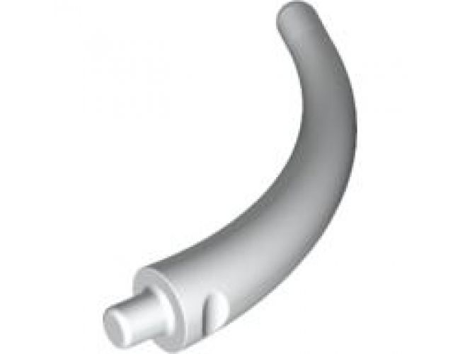 Animal, Body Part Dinosaur Tail End Section / Horn