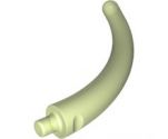 Animal, Body Part Dinosaur Tail End Section / Horn