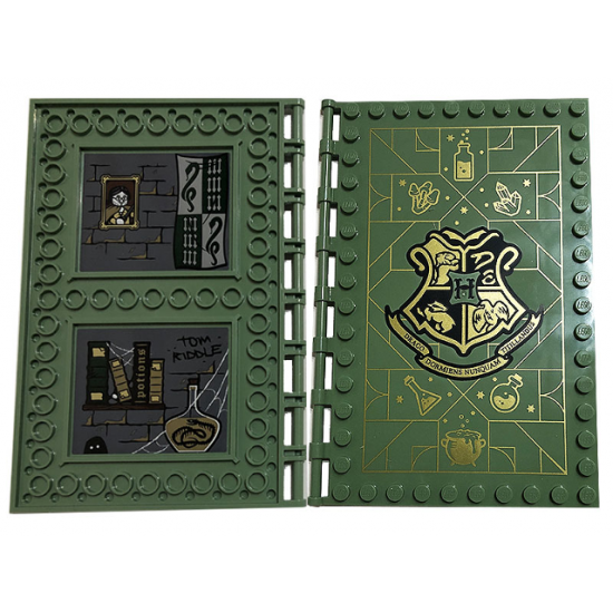 Tile, Modified 10 x 16 with Studs on Edges and Bar Handles with Hogwarts Potions Class with Black 'TOM RIDDLE', Books, 'Potions', Wooden Shelf, Portrait, Cobwebs and Flag of Slytherin Pattern on Inside (Stickers) - Set 76383