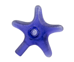 Starfish / Sea Star