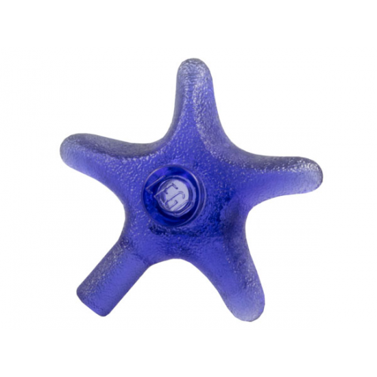 Starfish / Sea Star