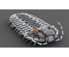 Exhibit MOC - Trilobite (Phacopid)