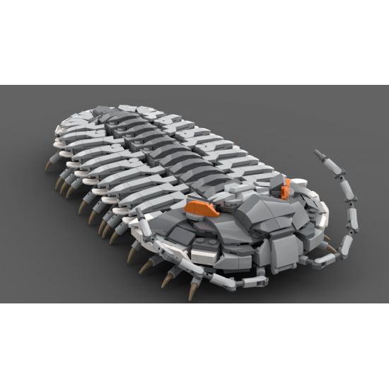 Exhibit MOC - Trilobite (Phacopid)