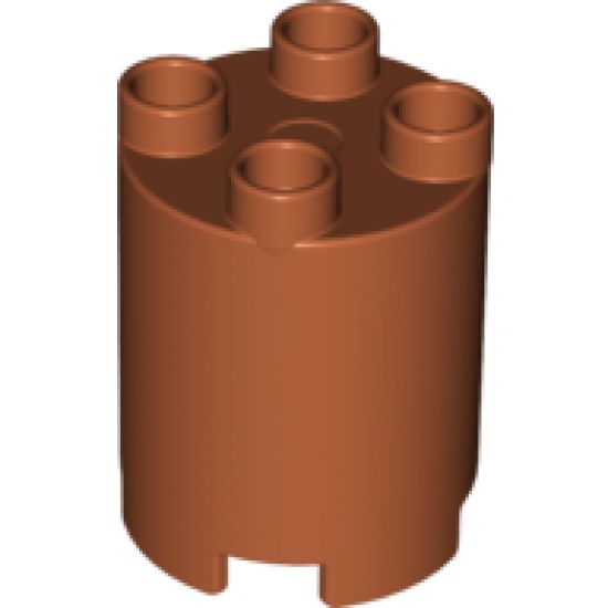 Duplo, Brick Round 2 x 2 x 2