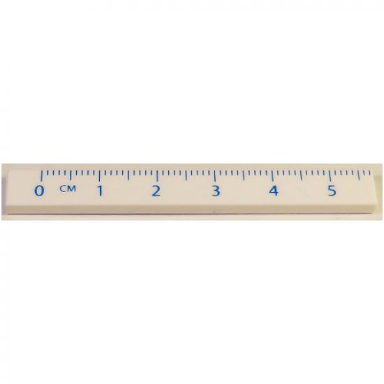 Tile 1 x 8 with Ruler CM 0 - 5 Pattern