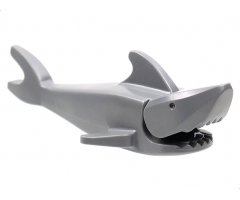 Shark with Rounded Nose