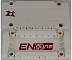 Technic, Panel Plate 5 x 11 x 1 with Worl Racers Team Extreme Logo on Outside and Red 'ENgyne' on Inside Pattern Model Left Side (Stickers) - Set 8864