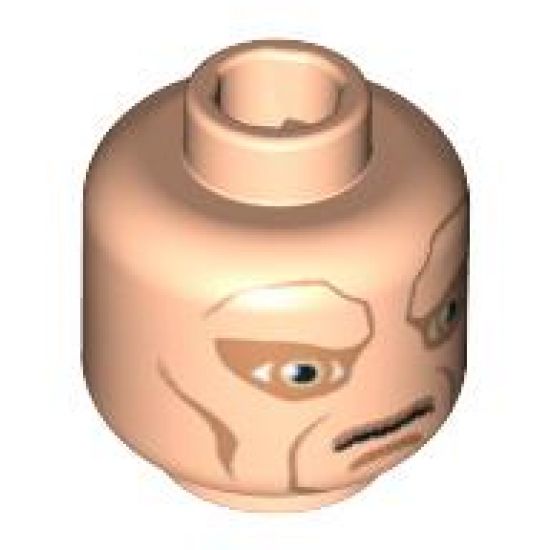 Minifigure, Head Alien with SW Saesee Tiin, Large Eyes and Cheek Lines Pattern - Hollow Stud