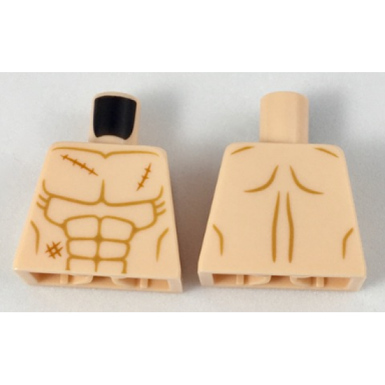 Torso Bare Chest with Muscles Outline and 3 Scars Pattern