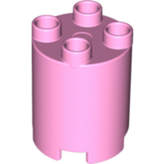 Duplo, Brick Round 2 x 2 x 2
