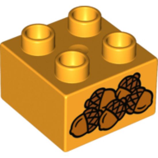 Duplo, Brick 2 x 2 with 5 Acorns Pattern