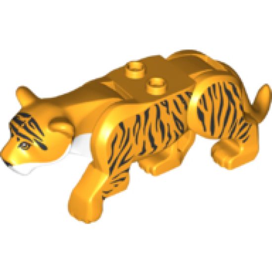 Cat, Large (Tiger) with White Muzzle and Black Nose and Stripes Pattern