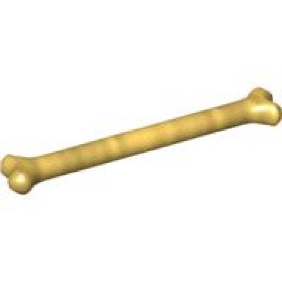 Animal, Accessory Bone Long