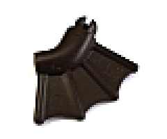 Arm with Wing