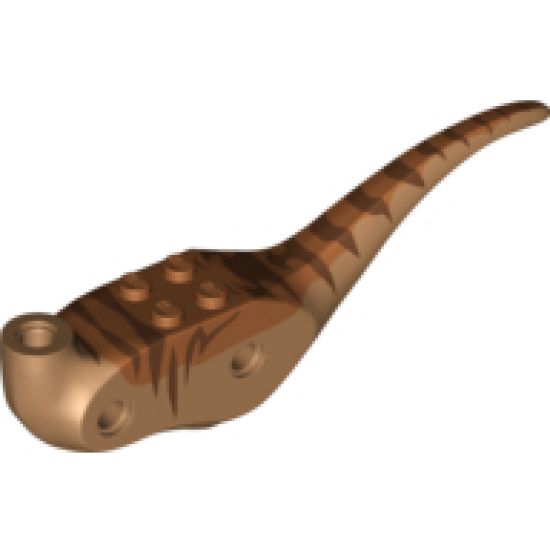 Animal, Body Part Dinosaur Middle Raptor with Dark Orange Top with Dark Brown Stripes Pattern