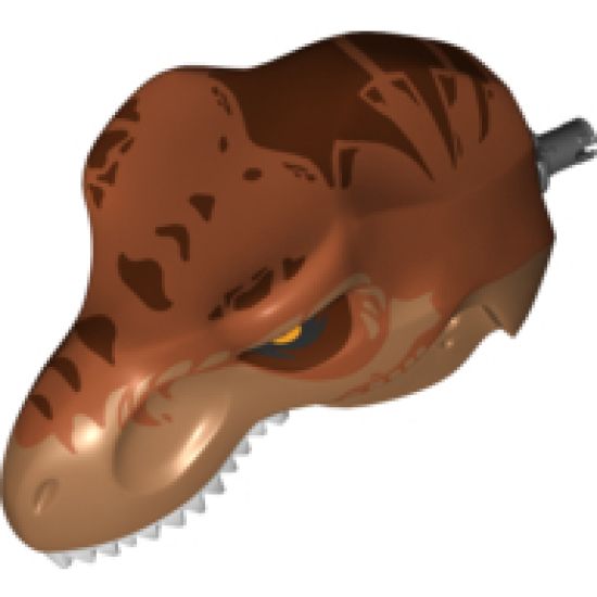 Animal, Body Part Dinosaur Head Tyrannosaurus rex with Pin, White Teeth, Dark Orange Top and Dark Brown Stripes Pattern