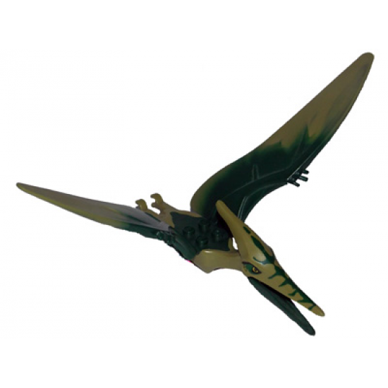 Animal, Dinosaur Pteranodon with Dark Green Back